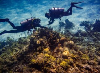 L’Australia evita l’iscrizione della Grande Barriera Corallina nei siti in pericolo Unesco