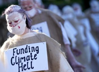 Clima, Onu: “Il covid non ha rallentato la crisi, vicini a limite di 1,5°C
