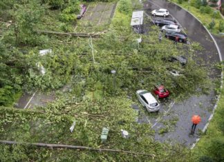 Maltempo colpisce Svizzera e Germania: piogge e nevicate, danni