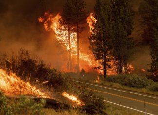 Usa, bruciano gli Stati dell’ovest: 80 devastanti incendi in corso