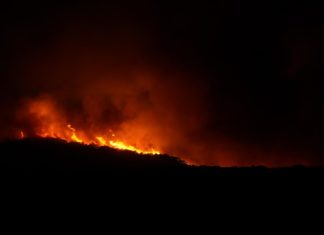 Incendi, la Sardegna dichiara lo stato di calamità