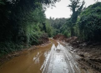 Maltempo, temporali in Veneto: pre-allarme per i bacini idrogafici