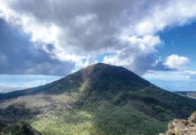 Somma Vesuviana, fiamme nel Parco del Vesuvio: vertice in Prefettura, in azione elicotteri e squadre a terra