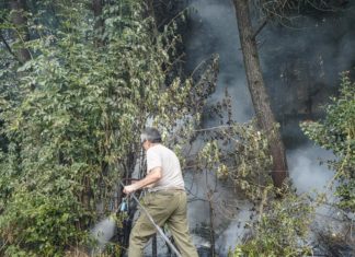 Incendi, fiamme al centro-sud: solo in Calabria 9 richieste di intervento aereo
