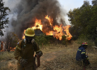 Incendi, fiamme a Pescara verso la collina di San Silvestro: in arrivo l’esercito