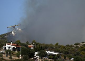 Incendi, Protezione civile: “Oggi 35 richieste d’intervento aereo”
