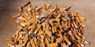 Mozziconi di sigarette