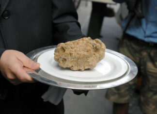 Chieti: 25 cavatori e rivenditori di tartufo sanzionati dai carabinieri