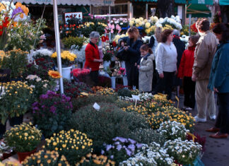 San Valentino, Coldiretti: il 53% italiani sceglie i fiori, oltre 100 milioni di spesa