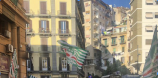 Cisl funzione pubblica