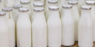 © lapresse -Tolga Akmen / Anadolu