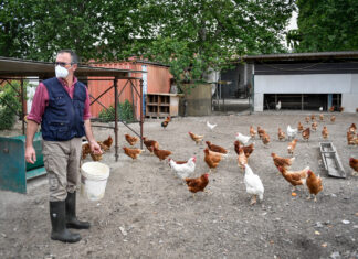 Estate, Coldiretti: tappa in agriturismo per 7 italiani su 10