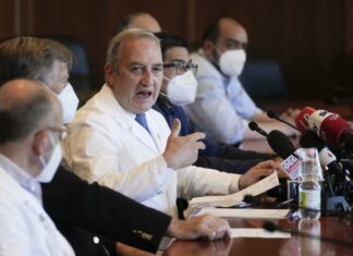 Vaiolo scimmie: primo caso in Emilia, ipotesi del contagio in Spagna