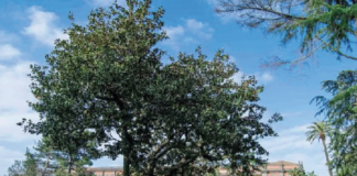 Primo maggio una festa nel verde