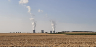 Tassonomia verde, giornata di proteste