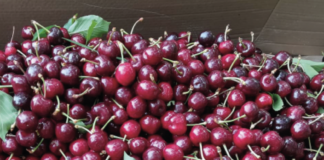 pesticidi, contaminato un frutto su tre