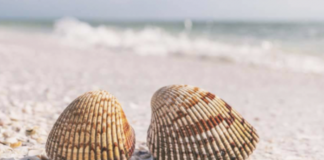 Un'estate al mare... senza inquinare