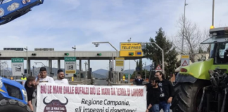 Bufale e camorra, il sindaco anticlan: la regione vaneggia