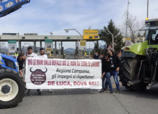 Bufale e camorra: il sindaco anticlan: la Regione vaneggia Bufale e camorra, il sindaco anticlan: la regione vaneggia