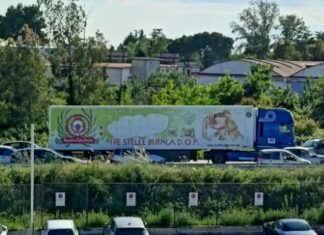 Dramma sfiorato nel Casertano: auto contromano, Tir si ferma in tempo