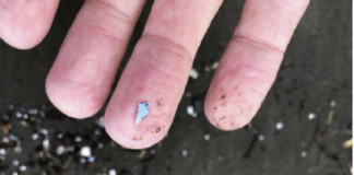 © LAPRESSE - Andrew Selsky