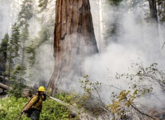 Incendi: in fiamme i boschi in provincia di Lucca