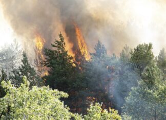 Incendi: domate fiamme su Carso e Versilia. Viminale: ultimo mese +14% interventi rispetto il 2021