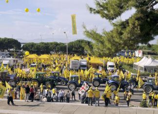 Sardegna: eccellenze agroalimentari, ecco gli Oscar Coldiretti