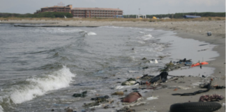 Il Mediterraneo è in pericolo