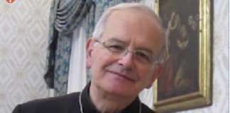 Il mercato illegale dei rifiuti dietro i roghi