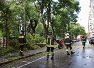 Albero cade su tir per il forte vento, ferito l’autista