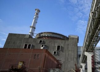 Zaporizhzhia, media russi: il capo do Aiea vuole incontrare Putin