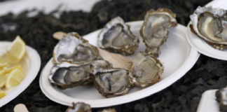 © LAPRESSE - Marco Alpozzi