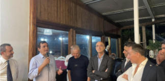 Il Terzo Polo annette Forza Italia