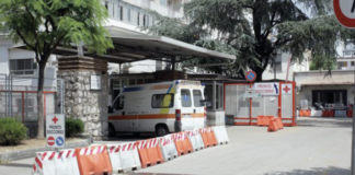 Fa sesso con il cane, contrae un'infezione e rischia di morire