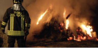 Gli allevatori nel mirino della camorra