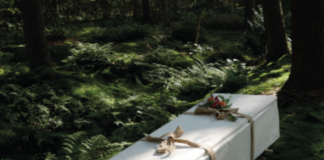 Morire inquina, ecco le sepolture ecologiche