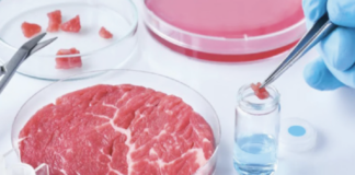 La Campania dice no al cibo sintetico