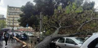 Clima, Campania sorvegliata speciale