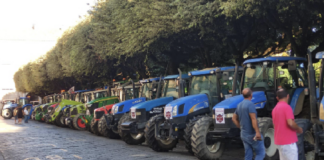 Brucellosi, gli allevatori: Regione da commissariare