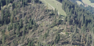 © lapresse - Stefano Cavicchi