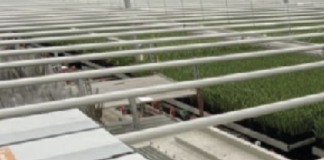 Le criptovalute coltivate in una serra