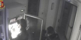 Da Napoli a Catania per rubare farmaci: arrestati