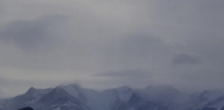 © lapresse - Felipe Trueba