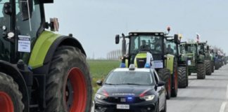 Bufale, la protesta per fermare la strage: diffida per la Regione