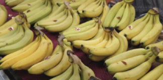 © lapresse - Chiang Ying-ying