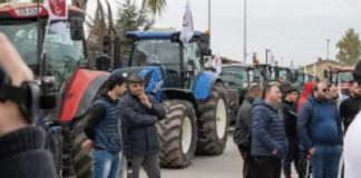Allevatori bufalini, i politici cercano di sfruttare la protesta