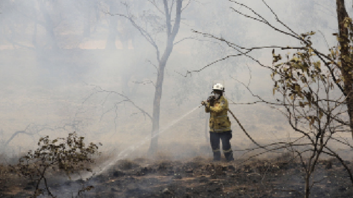 Proteggere le foreste e salvare la Terra