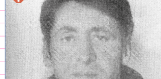 Sgominata la gang dei borseggiatori