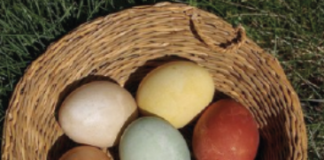 Le regole per una Pasqua ecologica